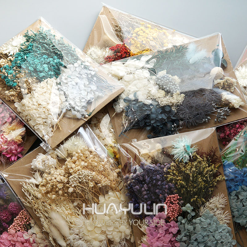 Dried Flower Pressed - 1 упаковка, искусственные растения, сушеные настоящие