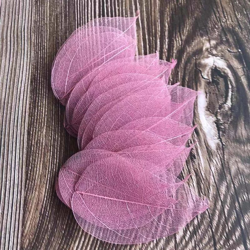 5 ~ 9 см * 2 ~ 3,5 см, 100 шт. – обзор и цена Dried Flower Pressed
