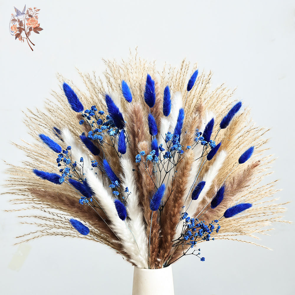 70-ступенчатый синий пушистый  – обзор и цена Dried Flower Pressed