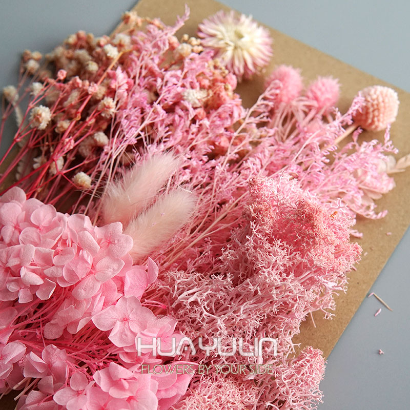 1 упаковка, искусственные раст – обзор и цена Dried Flower Pressed