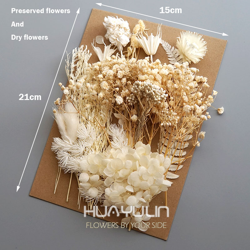1 упаковка, искусственные раст – обзор и цена Dried Flower Pressed