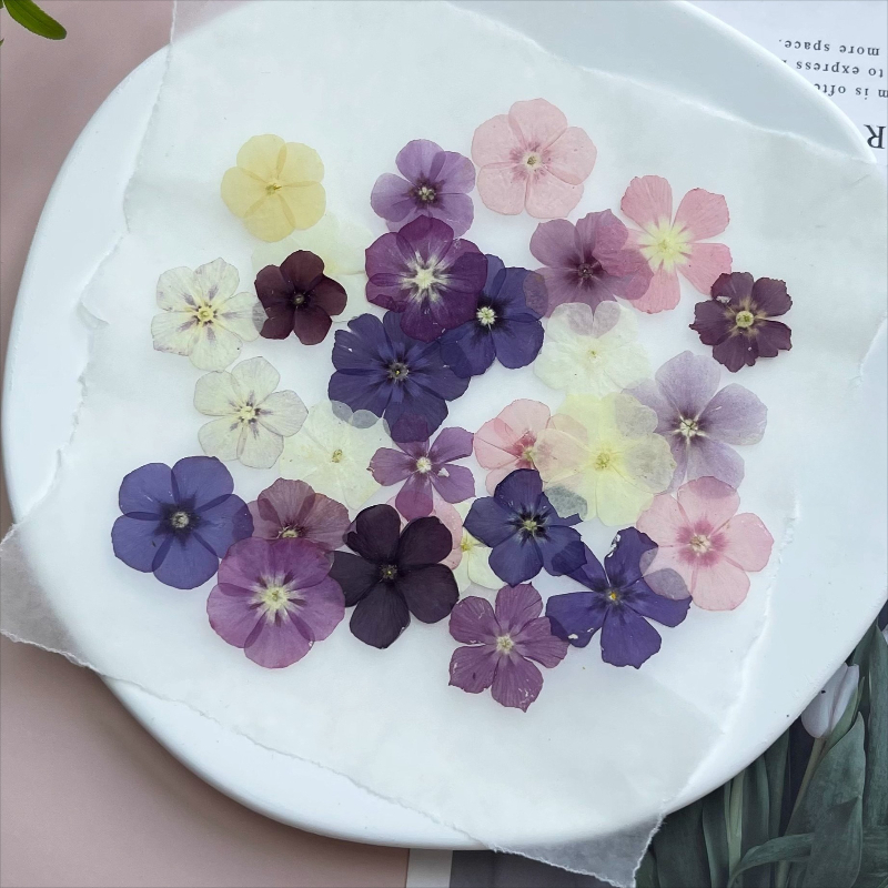 12 шт., полупрозрачные нишевые – обзор и цена Resin Art For Photo Frame